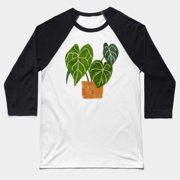 Anthurium Clarinervium Plant Baseball T-Shirt by gronly